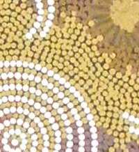 Detail view of goanna painting