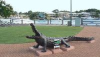 A crocodile guards Cullen Bay Marina