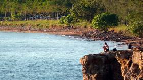 Four species of birds at Casuarina Beach