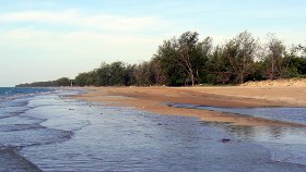 Casuarina free beach