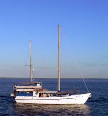 Fishing from Darwin Wharf