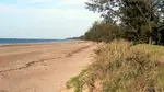 Casuarina Free Beach is a 500n long section of Casuarina Beach between the main beach area and Sandy Creek where clothes are optional.