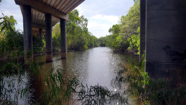 Finnis River Billabong