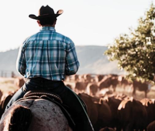 Droving in the NT - Roger Steele speakers night Droving in the NT -