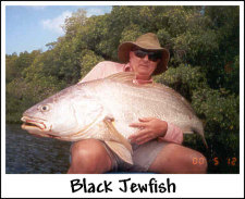 Black Jewfish