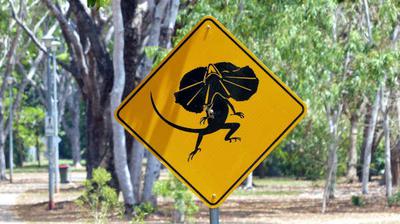 Road sign at Anula school  (editor)
