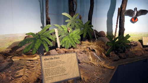 After the fires After the fires