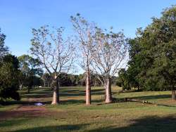 Alawa Parklands & Sports Fields