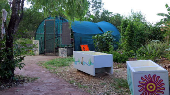 Alawa Community Garden