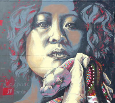 Street art Pavonia Place Nightcliff