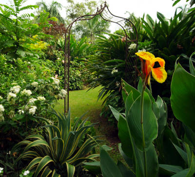 Bali in the Backyard Bali in the Backyard