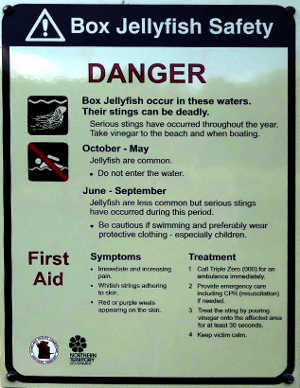 Box Jellyfish warning sign