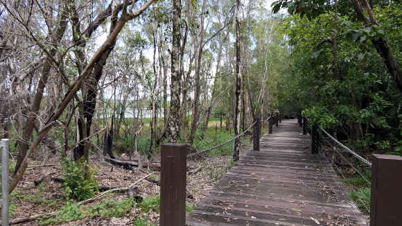 bush walk way