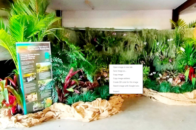 caladium festival 2022