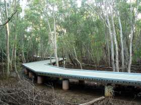 Metal walk way through the mangroves Metal walk way through the mangroves
