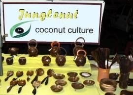 Hand-crafted Coconut