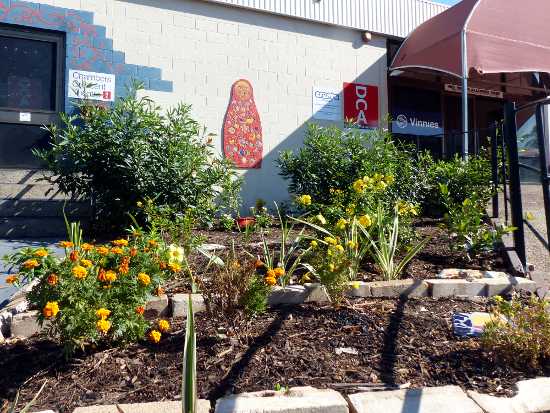 Community Garden at Theatre entrance Community Garden at Theatre entrance