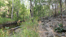 track beside creek track beside creek