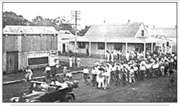 The Darwin Rebellion