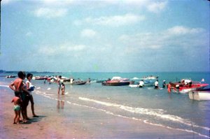 popular Darwin beach