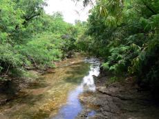 Typical Waterbird habitat Typical Waterbird habitat