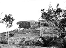 Black & white photo of early market gardens