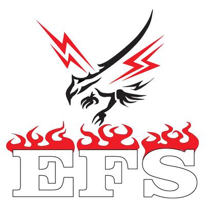 Electrical and Fire Services Pty Ltd