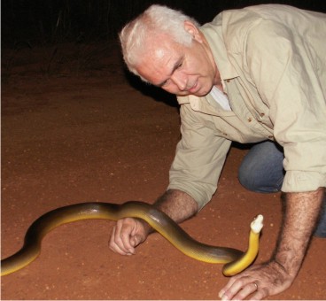 Water Python - sometimes the wildlife encounter is very close! 