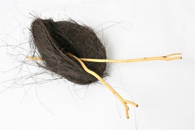 feed,nest, knit 2005