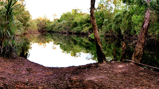 Finniss River Billabong