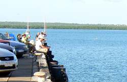 Fishing from the wharf