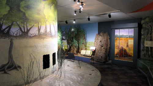 wetlands displays wetland displays
