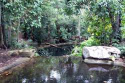 Quiet Pools and Rain Forrest Quiet Pools and Rain Forrest