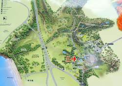 Darwin Botanic Gardens Map Botanic Gardens Named After Darwin Mayor