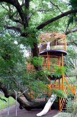 Tree house Tree house