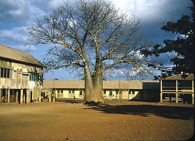 Old Darwin Primary School