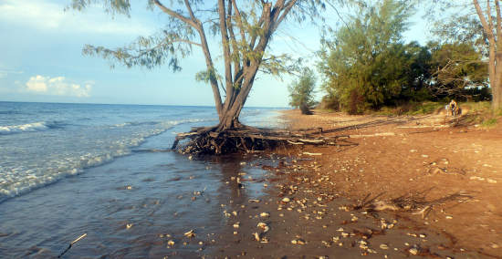 High Tide at Casuarina Beach