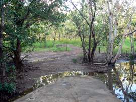 woodlands behind hospital