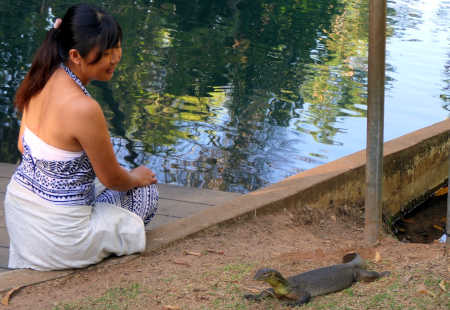 Visitor and water monitor at Howard Springs