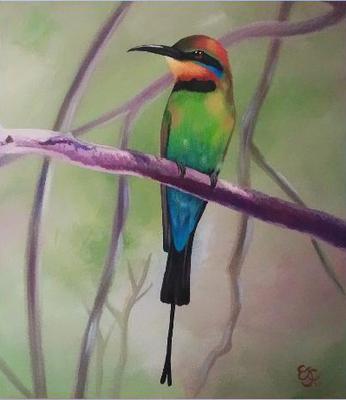 rainbow bee eater