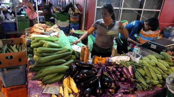 Local Produce at Palmerston Markets