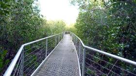 metal mangrove walkway metal mangrove walkway