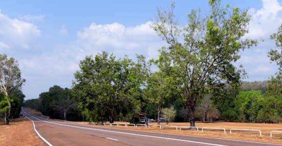 Manton River at Stuart Highway