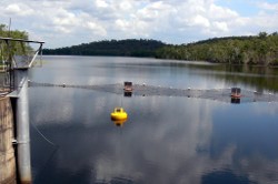 Looking over the dam water