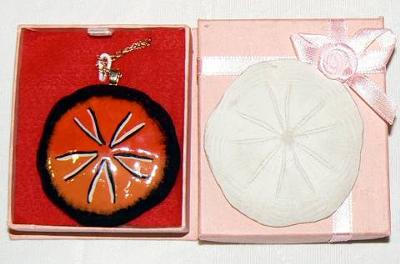 Sand Dollars become Mermaid Money