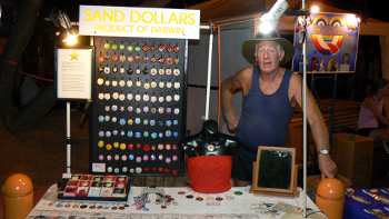 Mermaid Money sand dollars