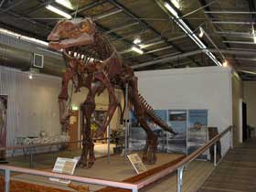 Muttaburrasaurus Hughenden