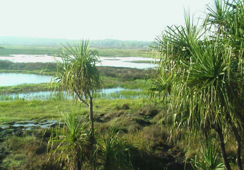 Outback Flood Plains