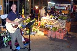 Palmerston Markets busker