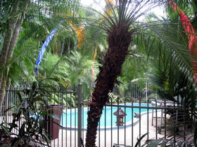 Breakfast by the Pool